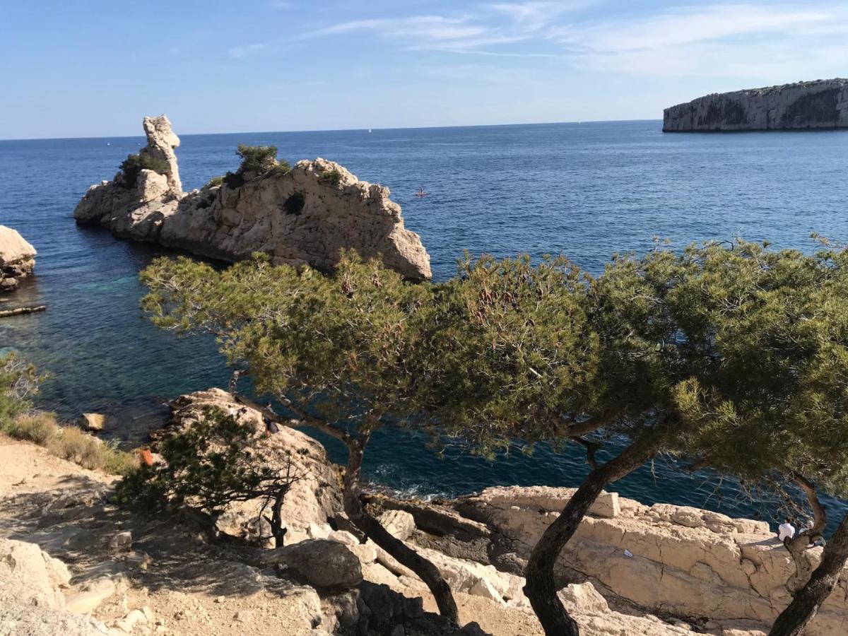 Bas De Villa Jardin Plein Sud Proche Mer Clim-Wifi Saint-Mandrier-sur-Mer Eksteriør bilde