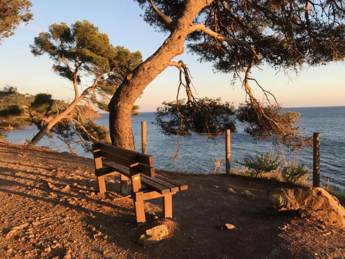 Bas De Villa Jardin Plein Sud Proche Mer Clim-Wifi Saint-Mandrier-sur-Mer Eksteriør bilde