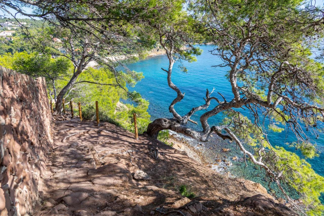 Bas De Villa Jardin Plein Sud Proche Mer Clim-Wifi Saint-Mandrier-sur-Mer Eksteriør bilde